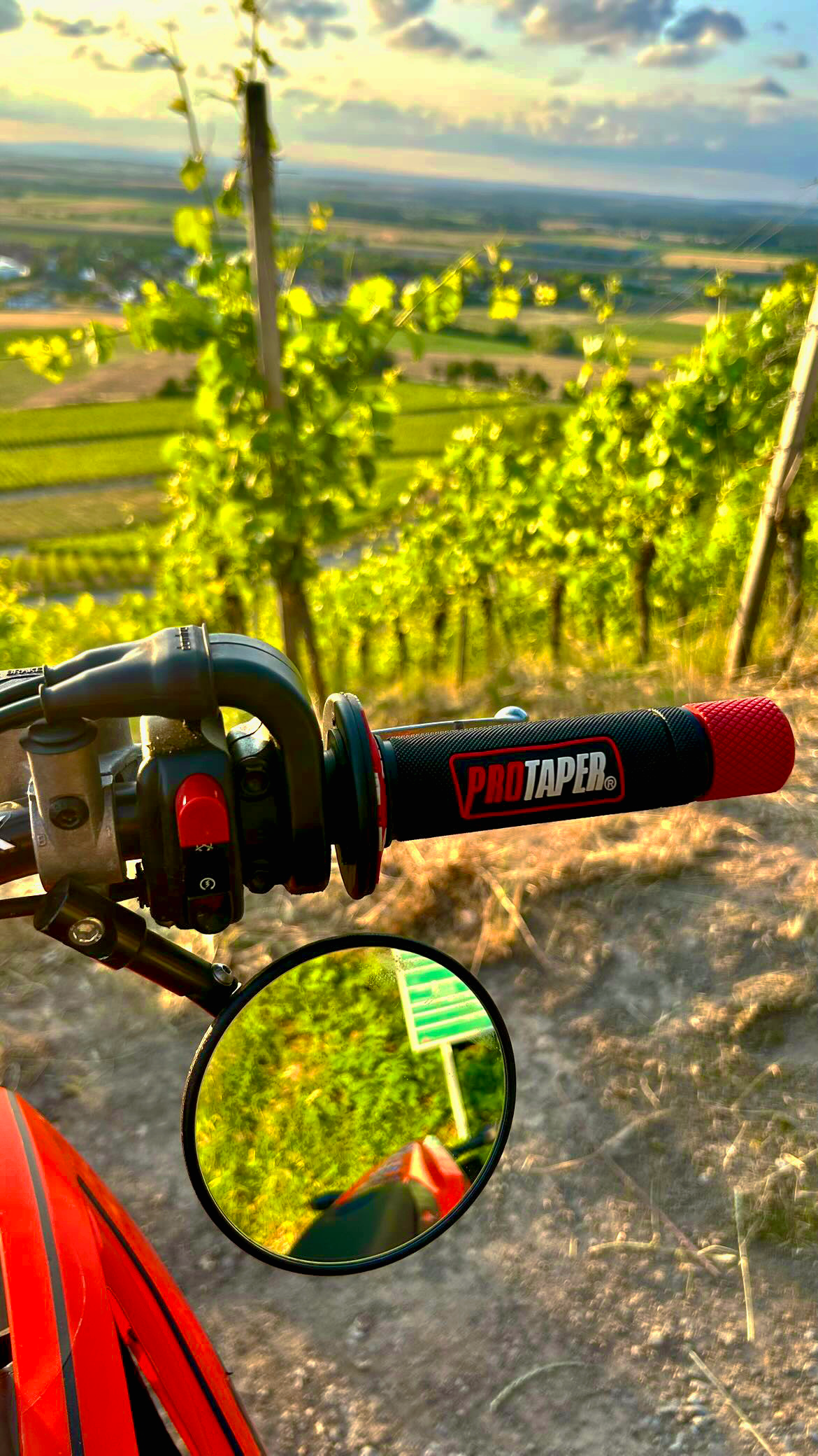 DRIV3D Lenkerenden/Bar Ends
